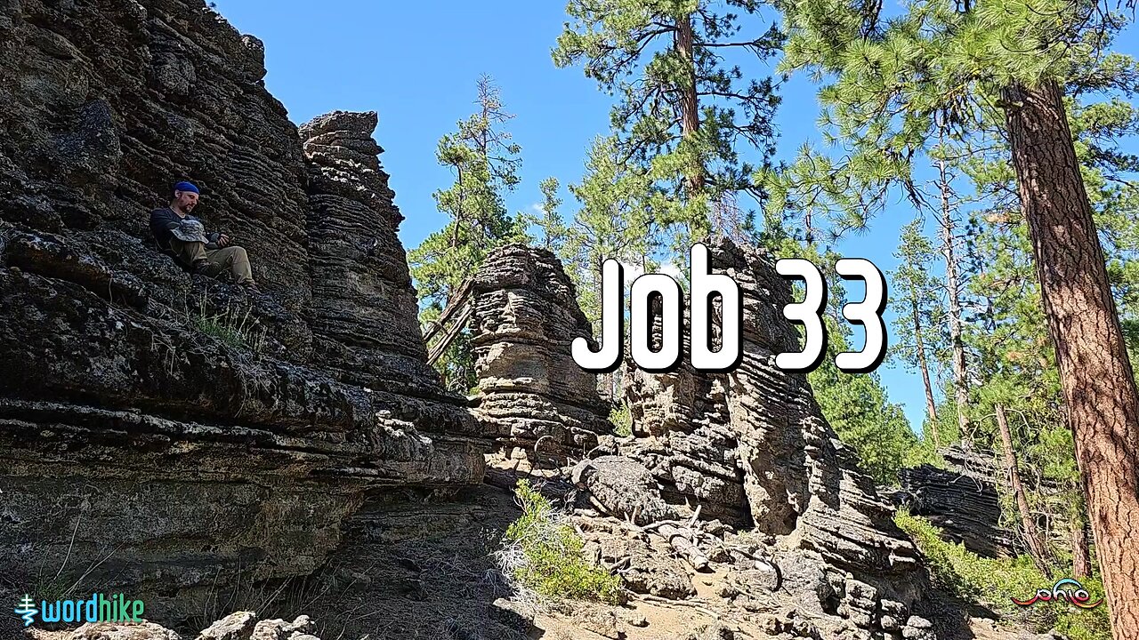 Job 33