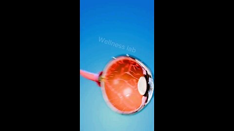 give up sugar! 😶‍🌫️