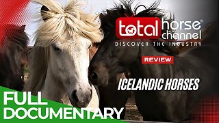 Documentary: Iceland – Home of Europe’s Strongest Horses