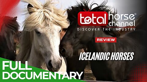 Documentary: Iceland – Home of Europe’s Strongest Horses