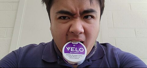 Velo Wildberry Nicotine Pouch Review
