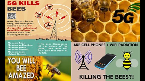 5G KILLING BEES - WHAT'S NEXT WHEN 6G COMES ON LINE