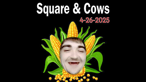 4-26-2025 Square & Cows