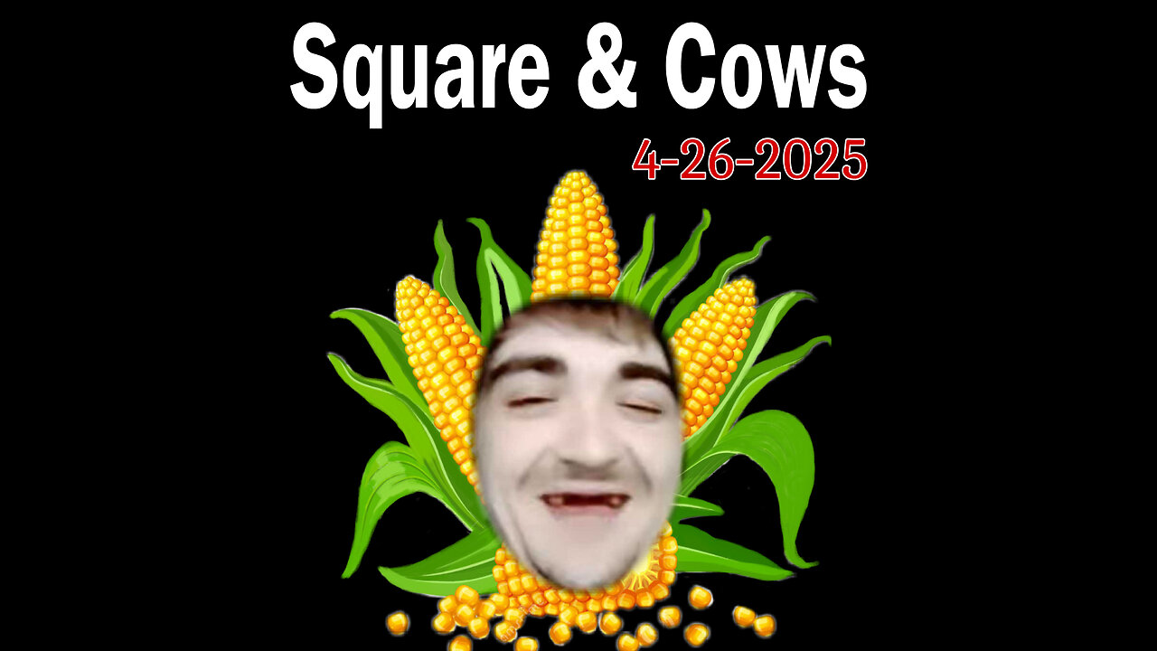4-26-2025 Square & Cows