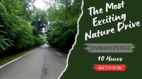 10 Hours of Ultimate Nature Drive Ambience