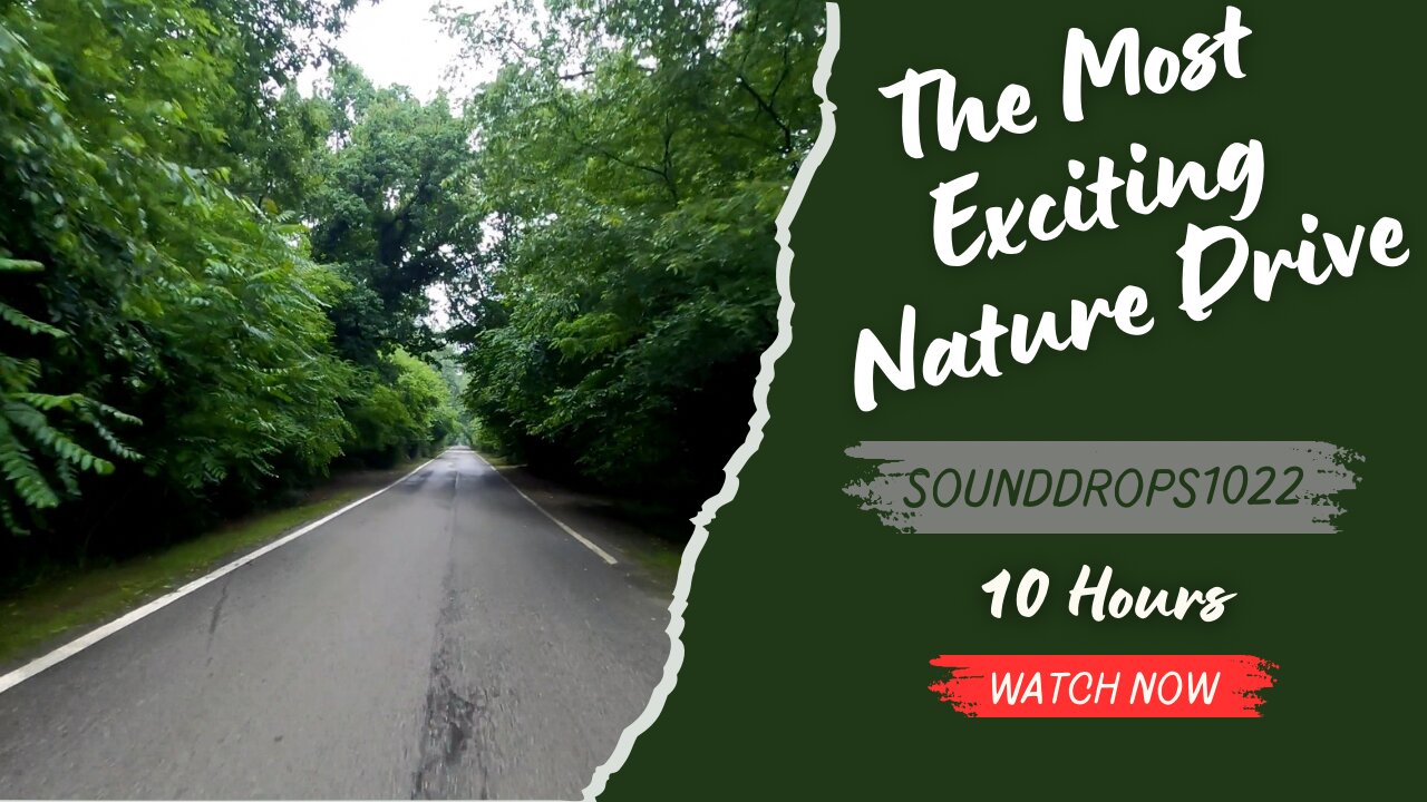 10 Hours of Ultimate Nature Drive Ambience