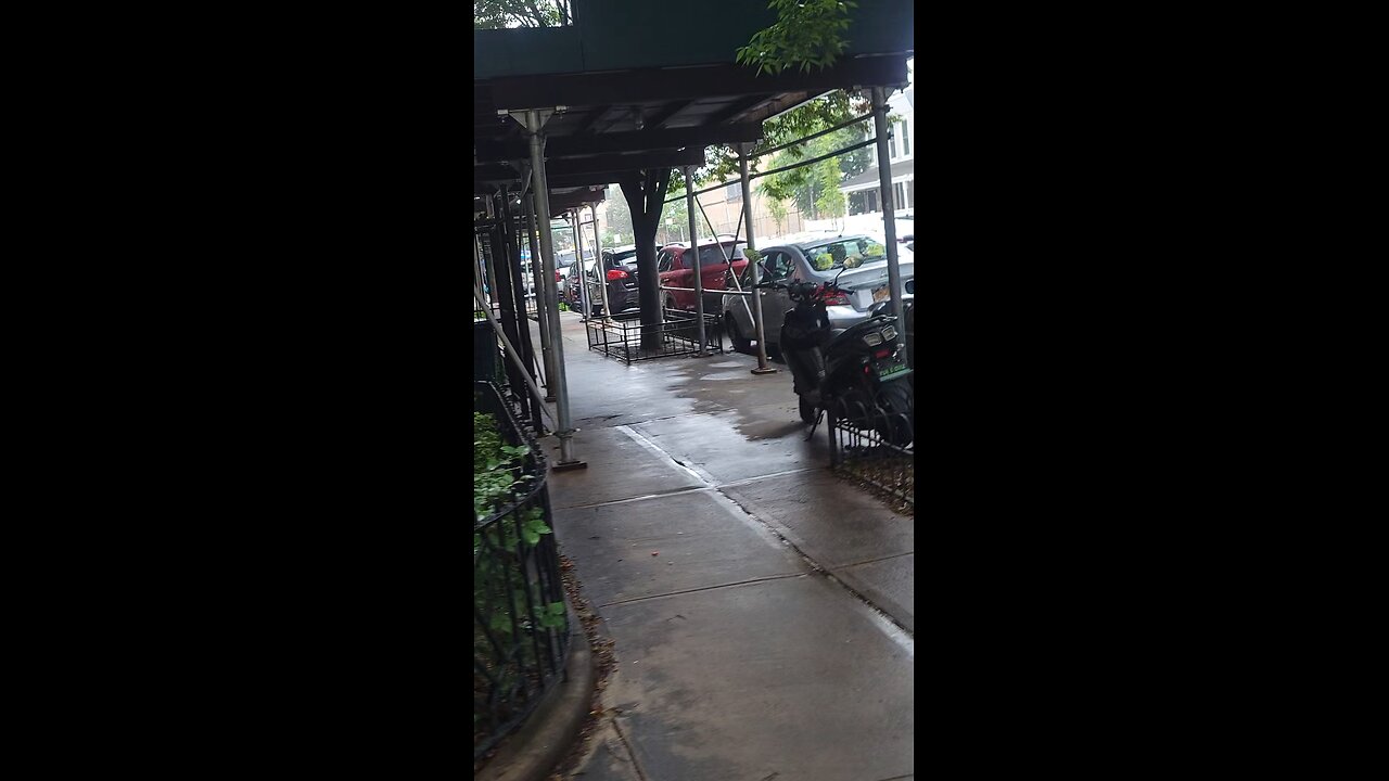 See the NY Predators Dept engaging in psychological harassment and noise attacks while masking it.
