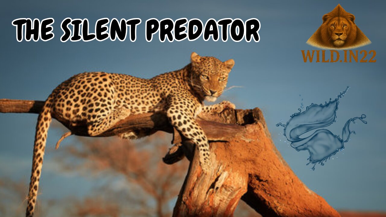 “Leopard: The Silent Predator of the Indian Jungles”