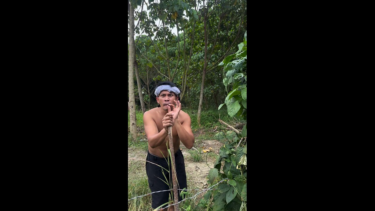 Naka batong oi