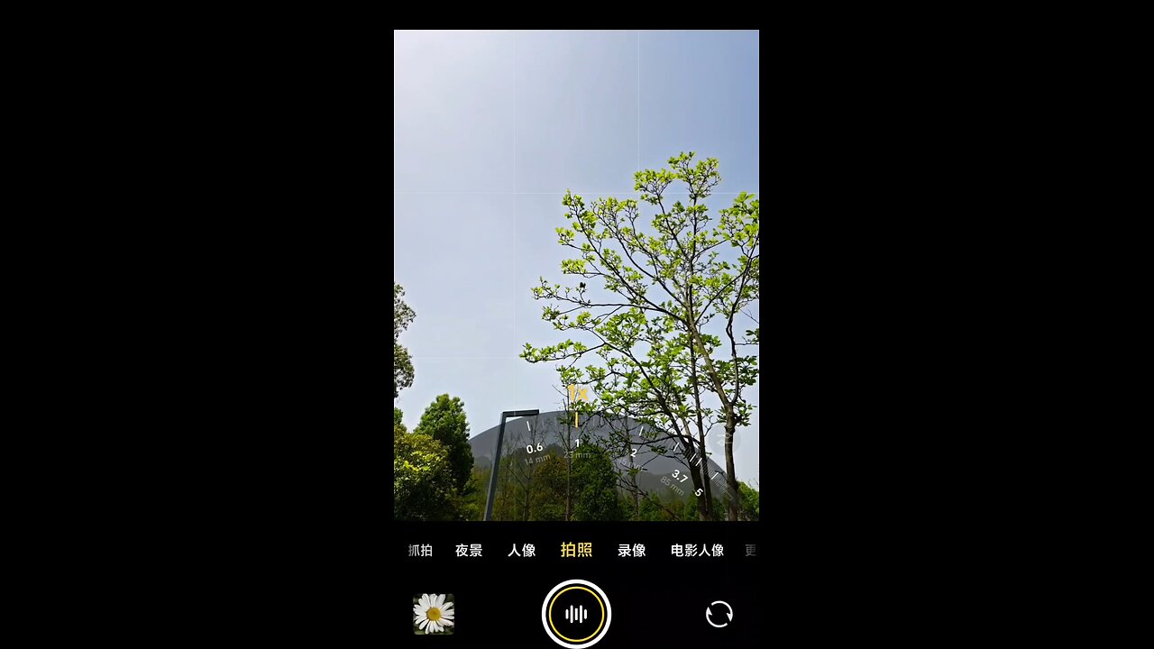 Vivo x100 ultra camera result