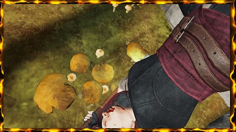 CH Jason Run 4