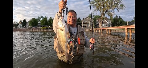 Western Michigan: Sheepshead & Cats at Sunset