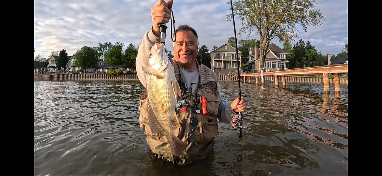 Western Michigan: Sheepshead & Cats at Sunset