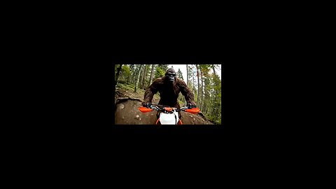 Bigfoot steals a dirtbike and wrecks it.