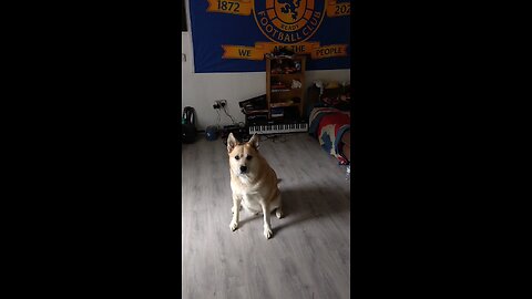 Demanding Bully