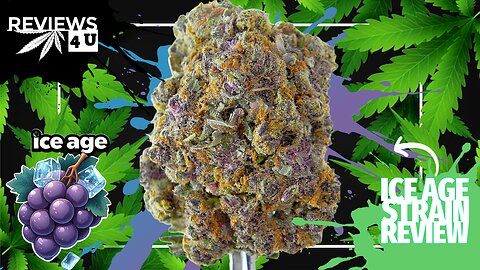 ICE AGE (STRAIN REVIEW) | REVIEWS 4 U