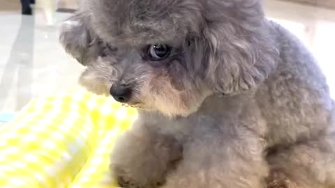 Funniest Side Eye Ever Given