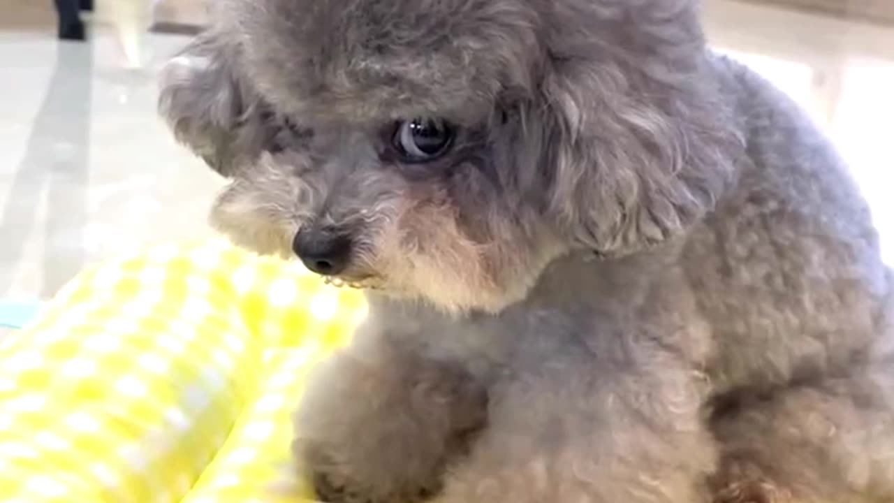 Funniest Side Eye Ever Given