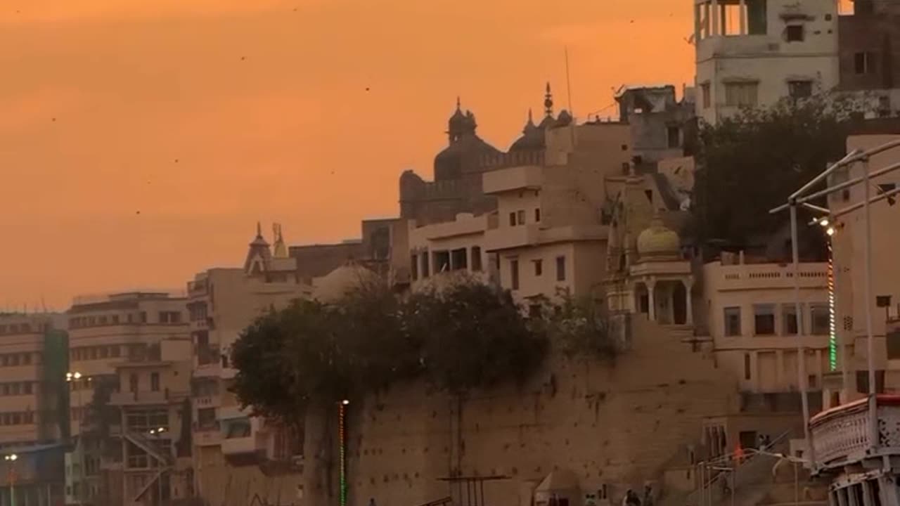 sukoon ka shaar vanaras