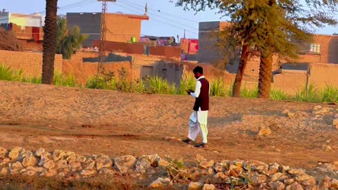 My Village ❤ #maxrecords #villagelife #larkana #sindh #pakistan