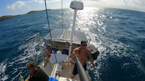 Sailing, Beer, Tree people - US Virgin Islands