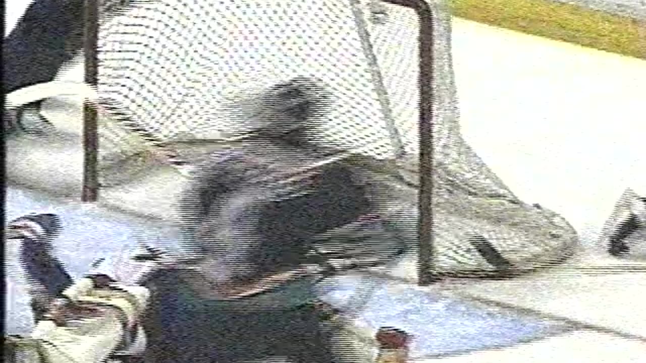 Islanders Bertuzzi Goal vs Blues Fuhr Mid 90s