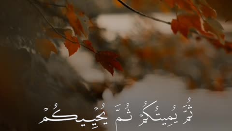 🔥Surah Al-Baqarah 2:28–29 سورة البقرة 🌙💫 #viral #love #youtubeshorts #trending #quran #foryou