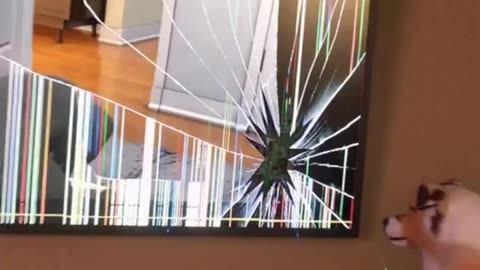Funny Dog Making Mess..