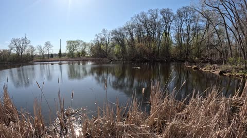 Short video of nature