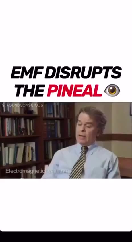 EMF DISRUPTS THE PINEAL