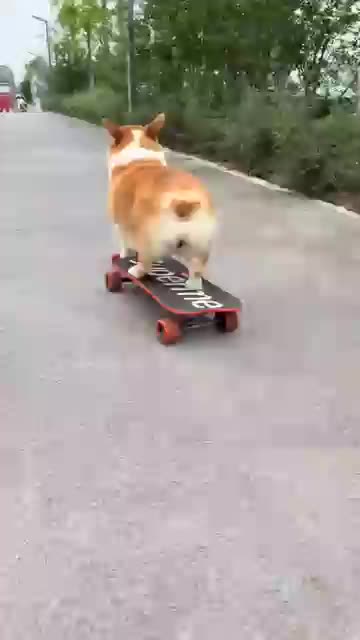 *Title:* Street Vendor’s Amazing Watermelon Juice Hack 🍉🔥