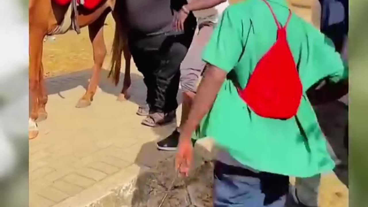 Best Funny Video (Follow My Channel)