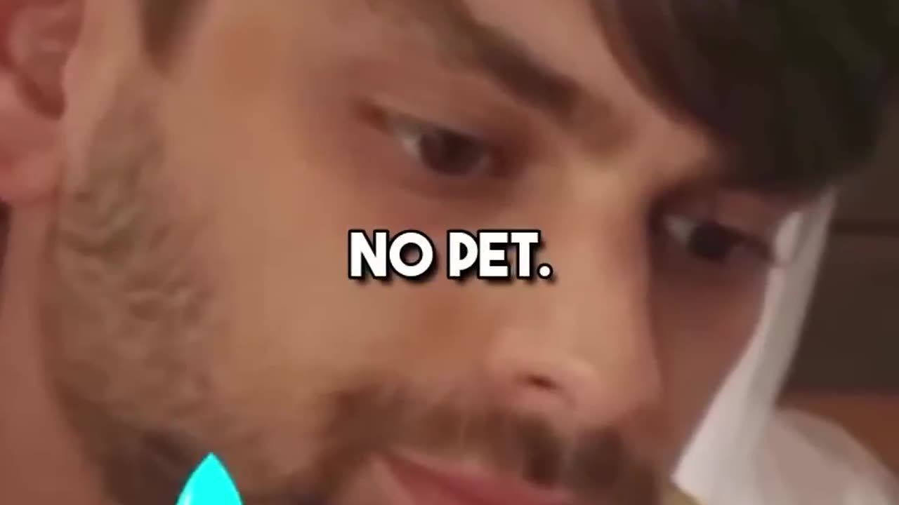 new video mr. beast