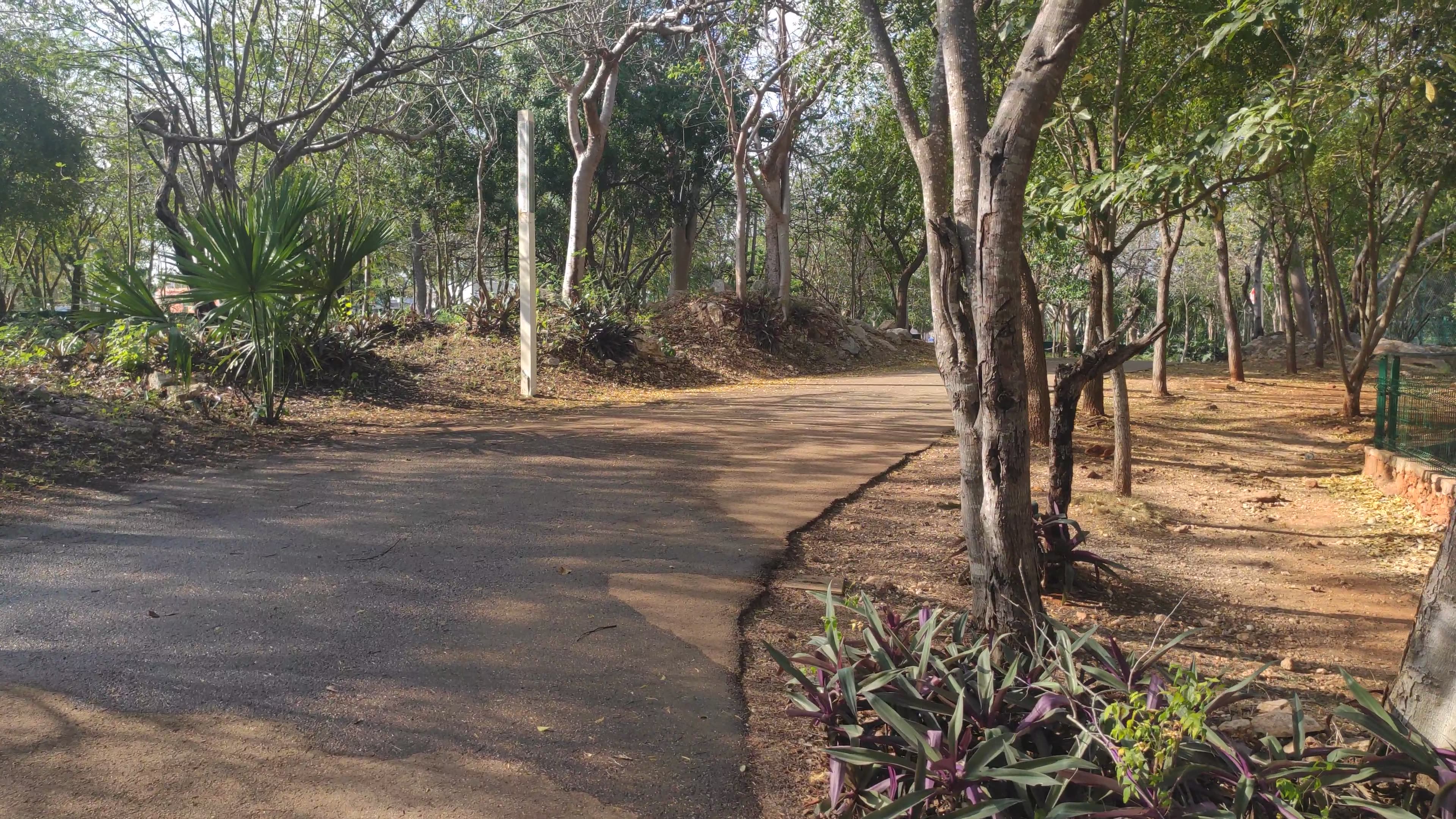 Animaya - Mérida - Yucatán - 4K - Parte 5