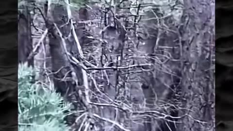 😱👻 You Won't Believe What They Caught on Camera! Creepy Paranormal Videos | TheHauntingHour