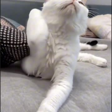 “Tie Your Hair Like Me – Easy & Stylish Hair Tutorial 💁‍♀️✨”