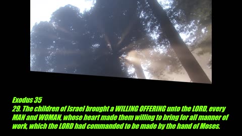 Exodus 35