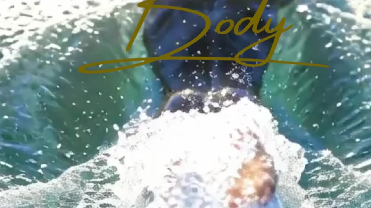 Unlock Physical Vitality: High-Performance Health for the Modern Hustle