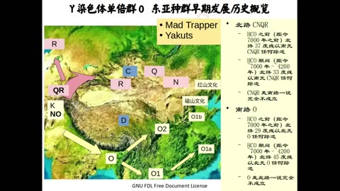关于Y染色体单倍群和东亚关系的科普