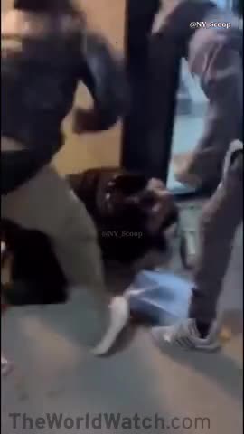 NYC dindu who targeted four white women in serial spit spree severely beaten