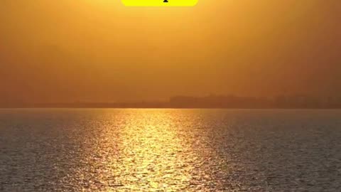The morning was full of sunlight and hope