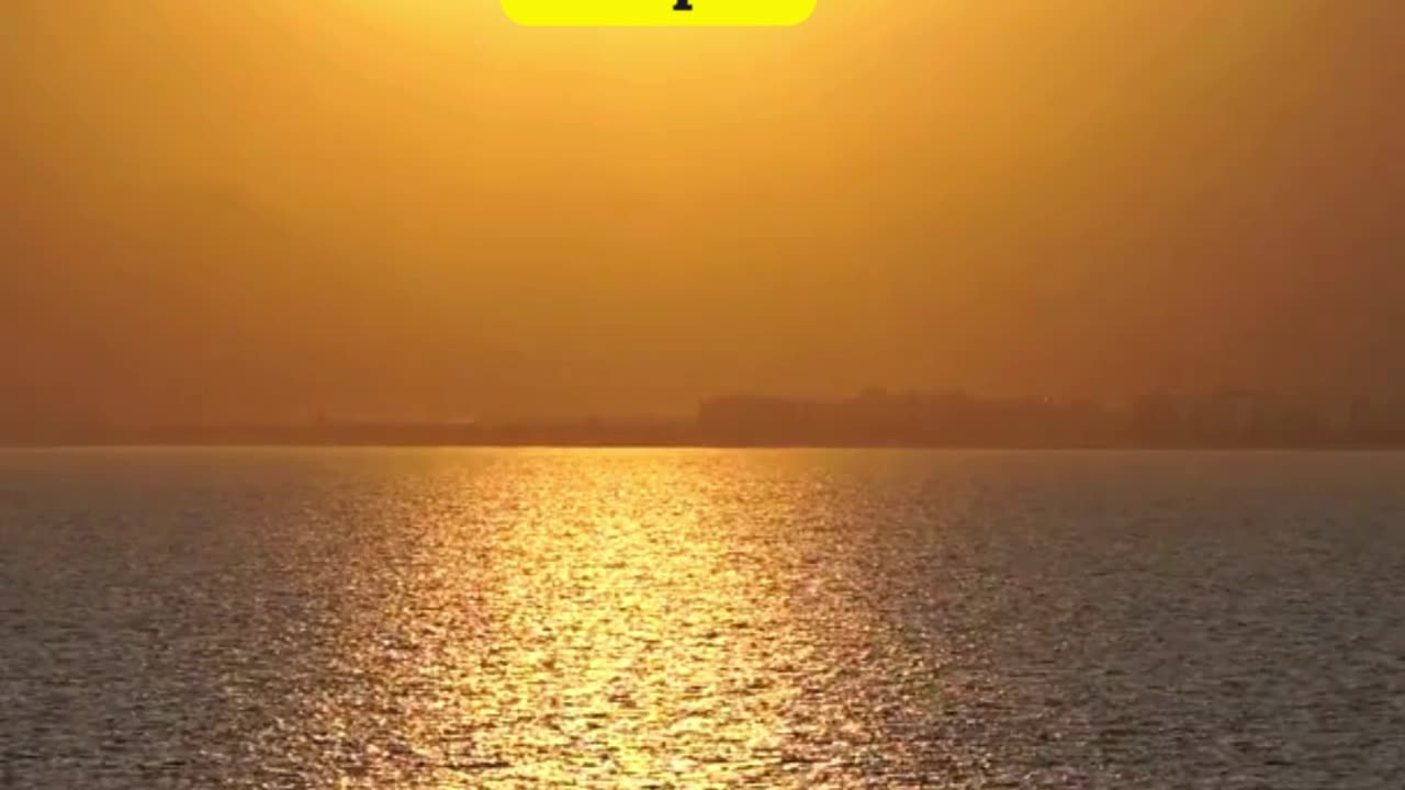 The morning was full of sunlight and hope