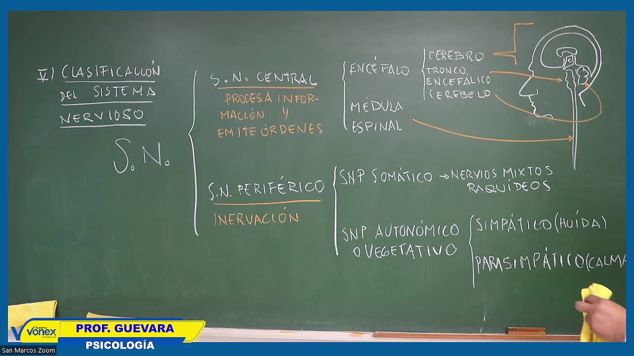 VONEX SEMESTRAL 2024 | Semana 05 | Psicología