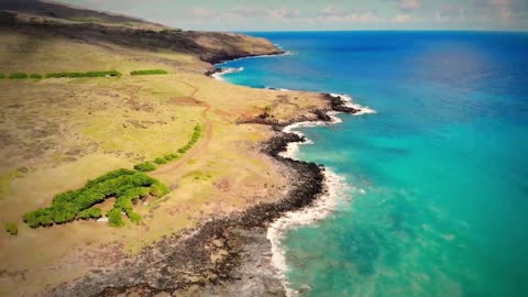 The Mysterious Birdman Cult of Easter Island 🗿