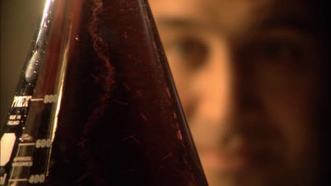 The Secret Life Of Chaos (2010)
