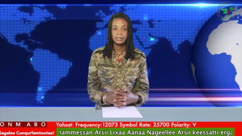 Oduu Waaree ONM-ABO Sadaasa 11-2025 itti dhiyaadhaa!