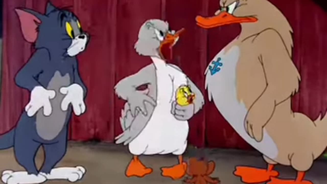 Tom