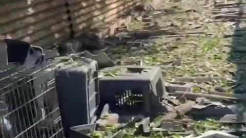 🐾🏥 Ukraine Russia War | Kramatorsk Veterinary Hospital Under Fire | RCF