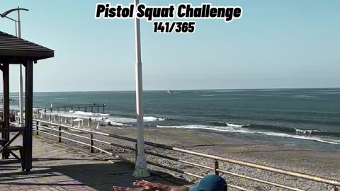 Pistol Squat Challenge 365/141