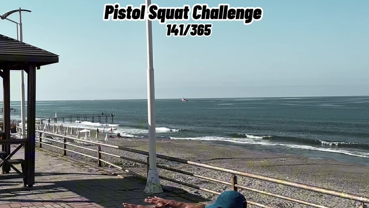 Pistol Squat Challenge 365/141